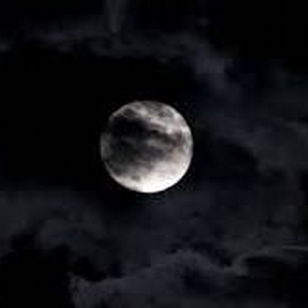 Dark-beat