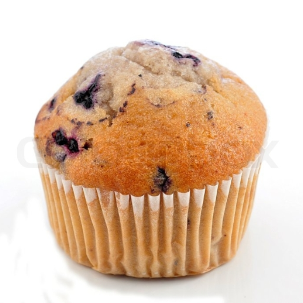 Blueberry Muffin