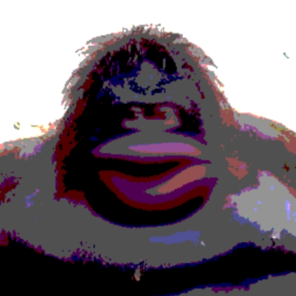 C O C O N U T ?