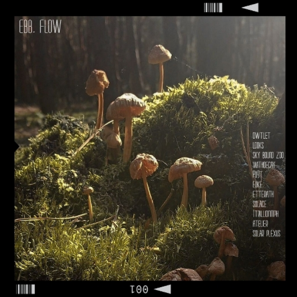 ebb, flow
