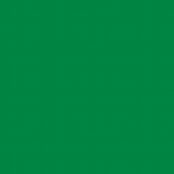 Man in green
