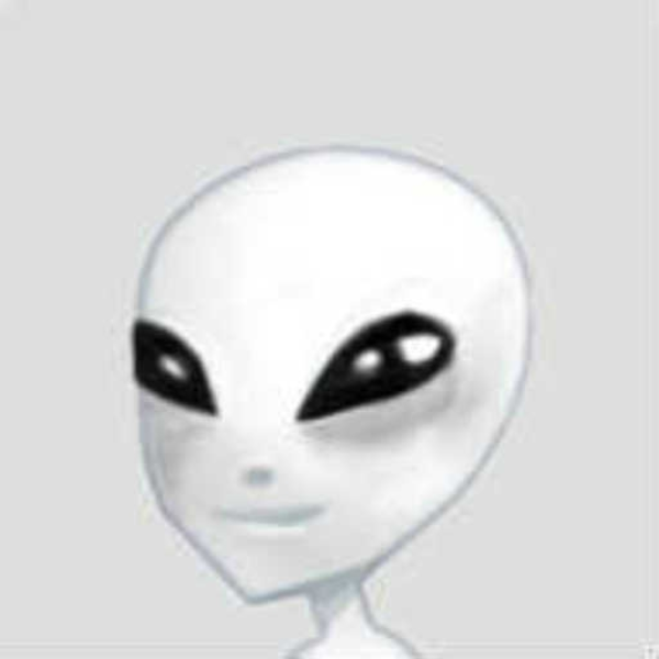 A1