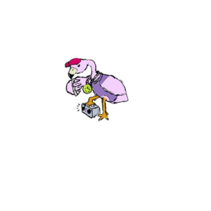 FLAMINGANG