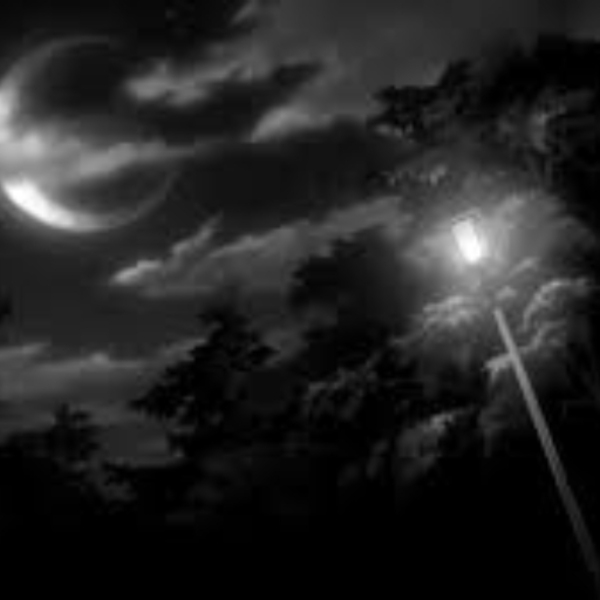 Dark Times