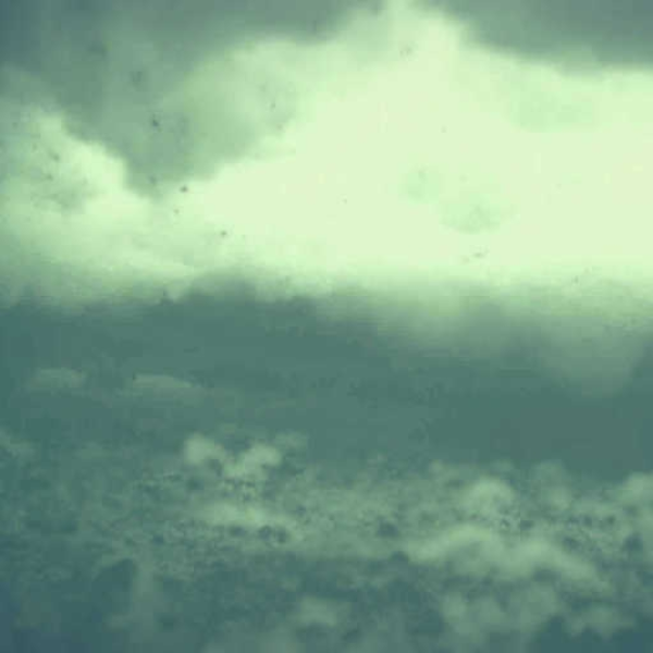 Ocean of war