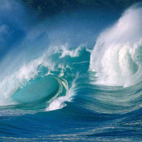 Ocean Spray