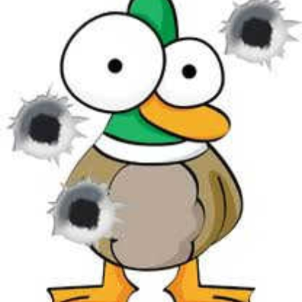 Odd Duck
