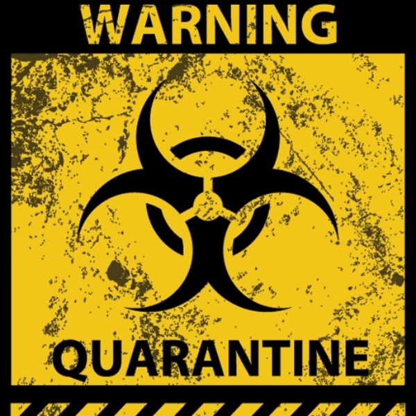 Quarantined Vibes