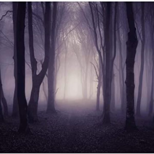 The Mist Forest