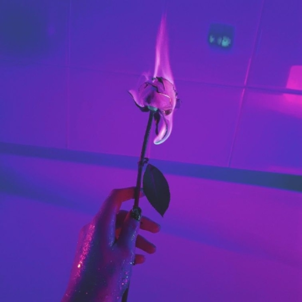 L O V E L Y