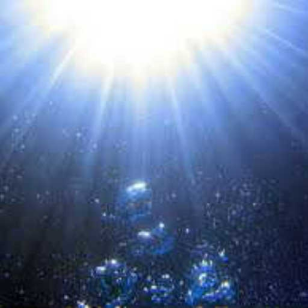 Omniparticle