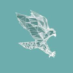 Warhawk