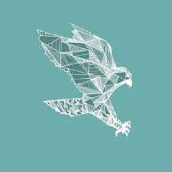 Warhawk