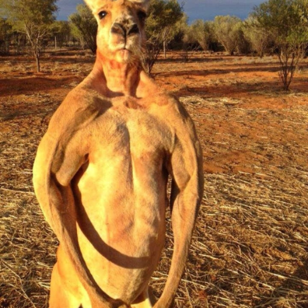 ooooo