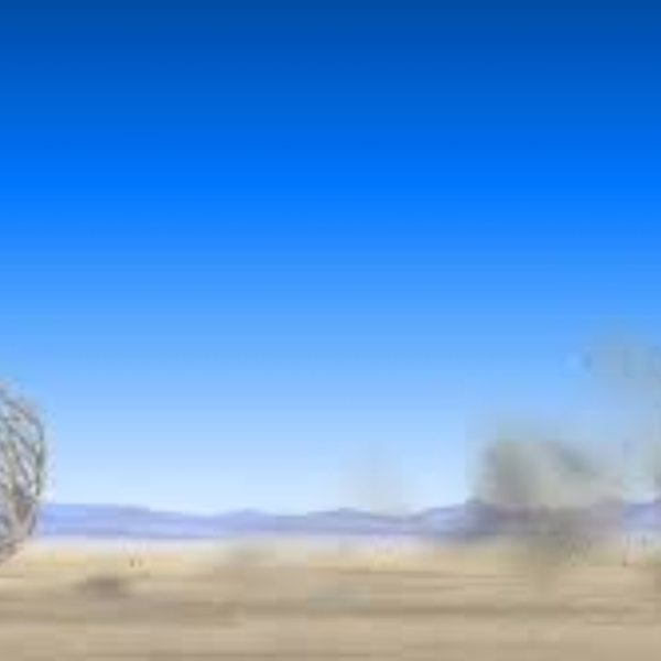 Texas Tumbleweed