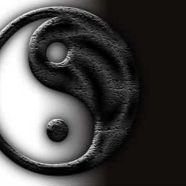 Opposites [Remix]