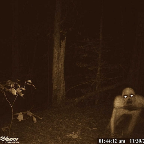 Orchestra of the Swamp