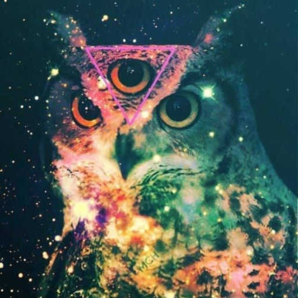 Oriental Hypnowlsis
