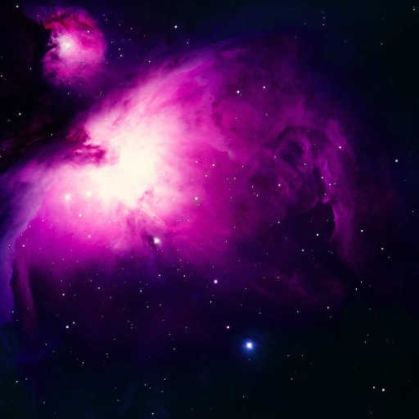 Orion