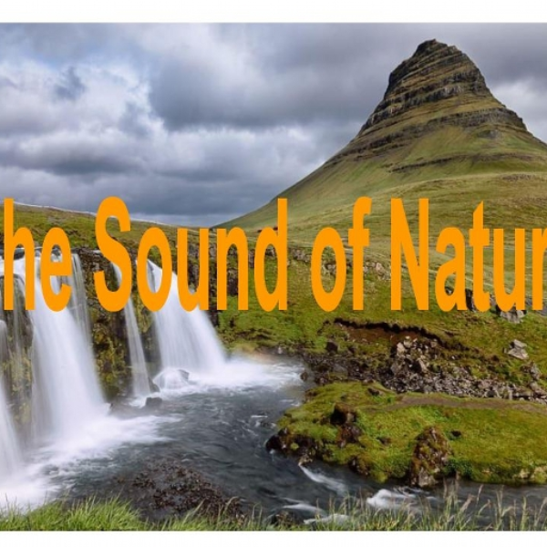 The Sound of Nature