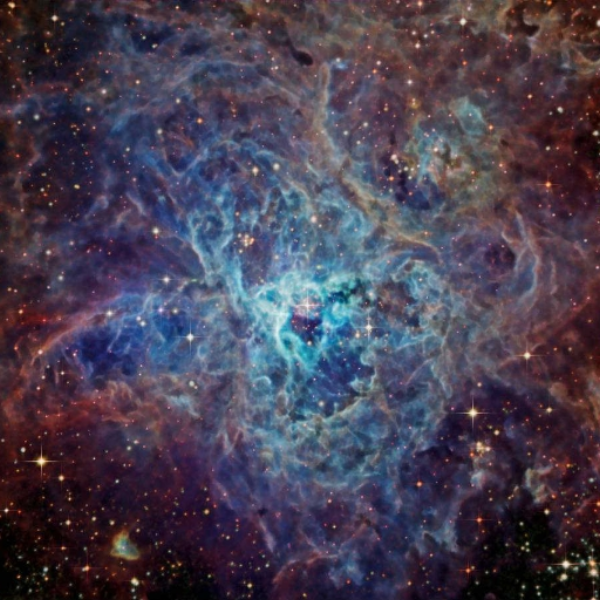 Our Cosmos