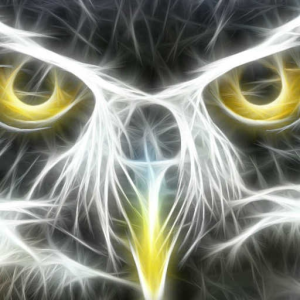 Owl  - Someone finish this failure