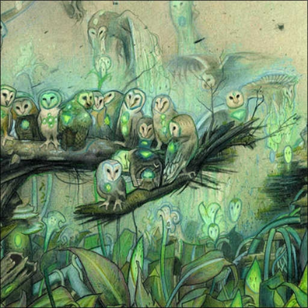 Owl song [erh]
