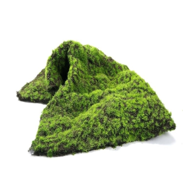 Moss