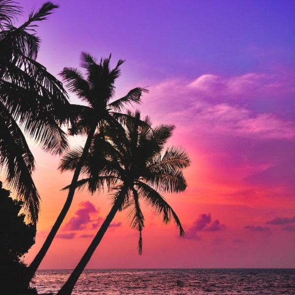 Tropical House! Pt.2