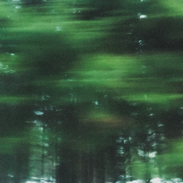 through the motion