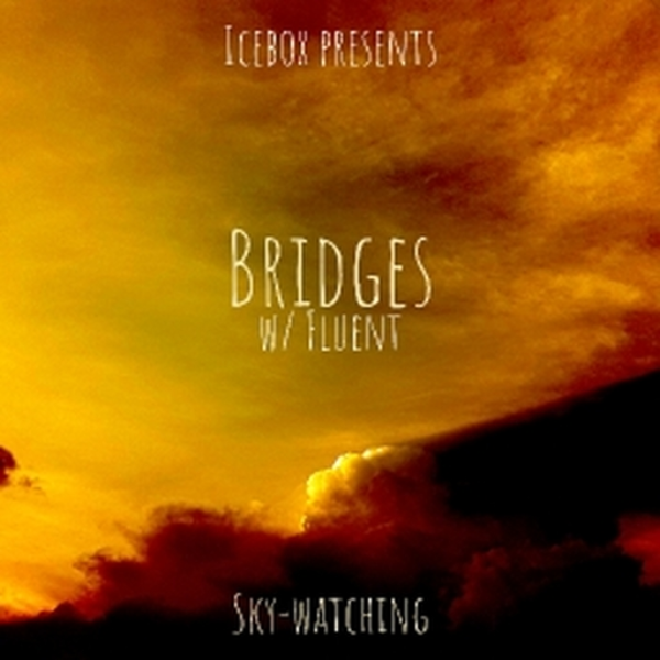 Bridges