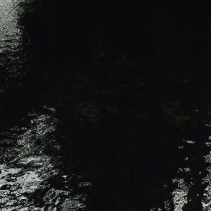 pain (why edit)