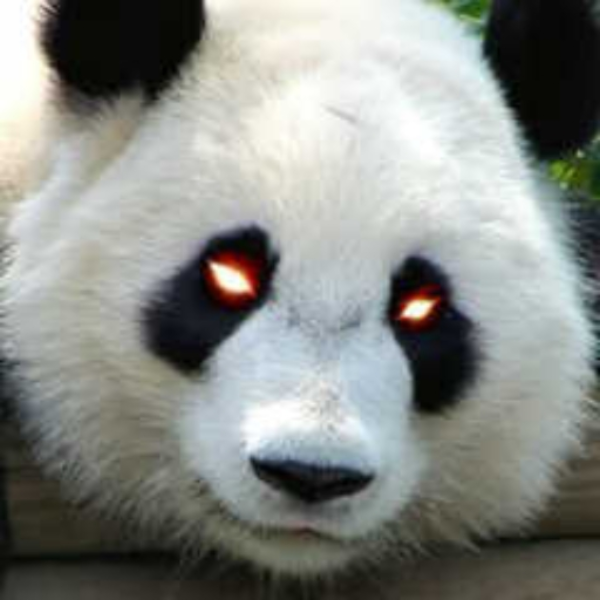 Panda Gaming