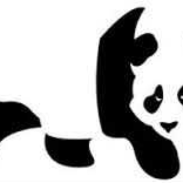 Panda Power