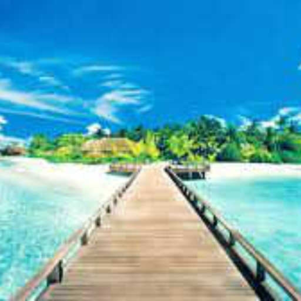 Paradise