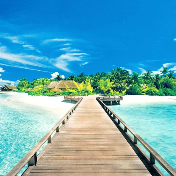 Paradise (Good Job)