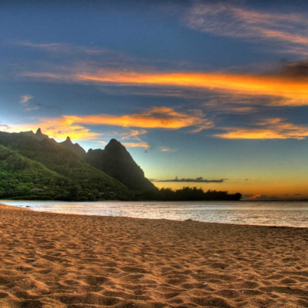 paradise love