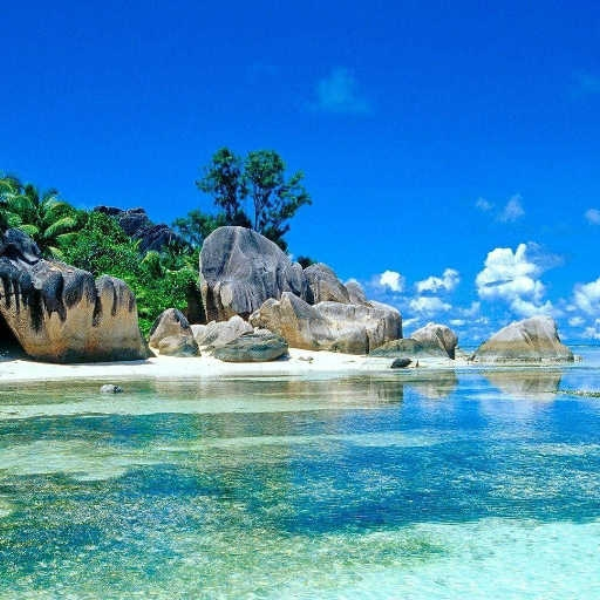 Paradise VOL.2