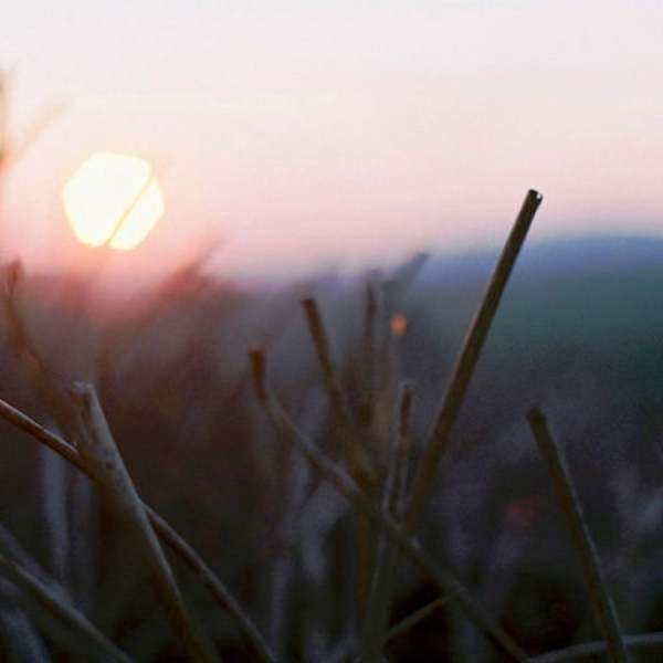parallax sunrise v2