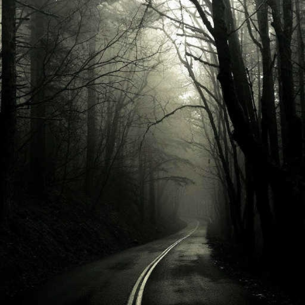 paranormal dark