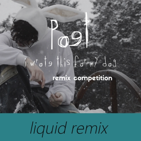 po9t -  I wrote this for my dog (liquid remix)