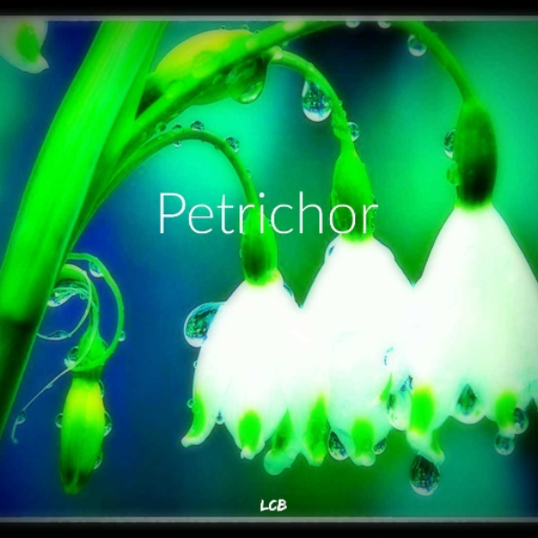 Petrichor