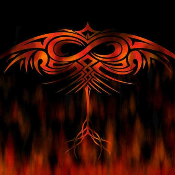 Pheonix ( Rise From The Ashes )