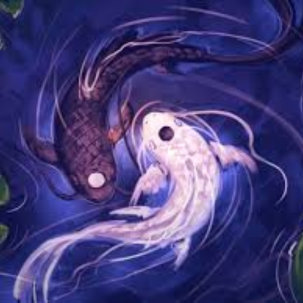 Yin & Yang