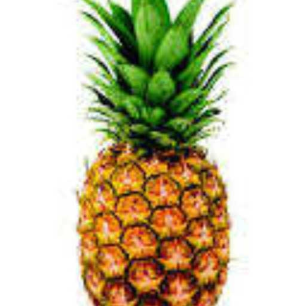 pineapples under the sea