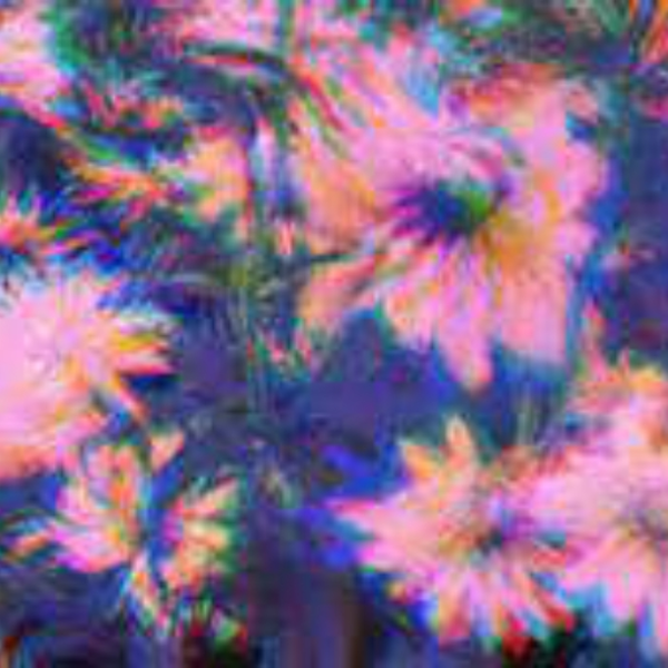 PL_RPLE