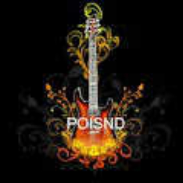 POISND guitar