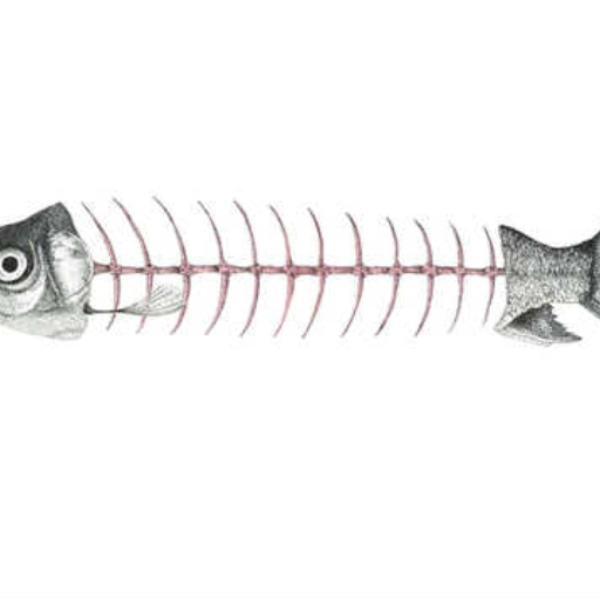 Poisson