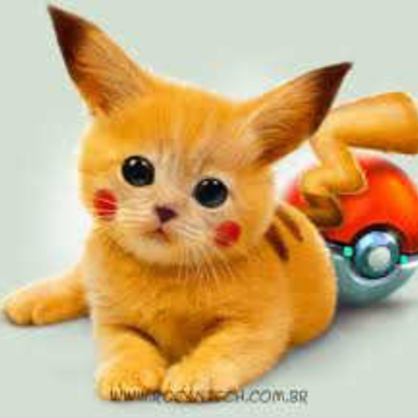 Pokecat Rock