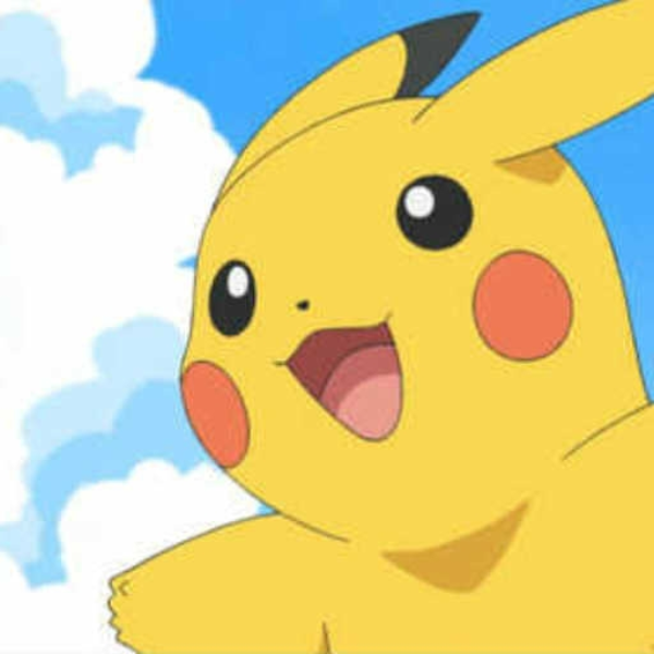 Pokemon (vip flip)